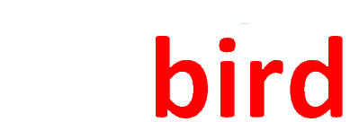 Mẫu web du lịch đẹp 